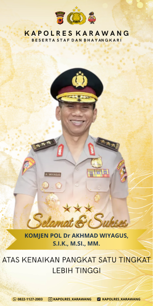 Example 300x600