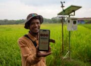 Ketahanan Pangan Jatim Diperkuat Lewat Sistem Pertanian Terintegrasi di Bojonegoro